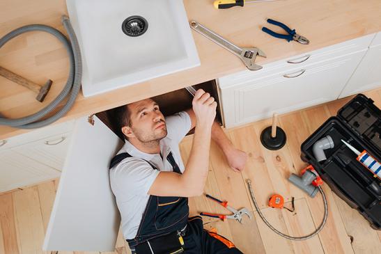 Services & Assistences - tailored solutions for all needs